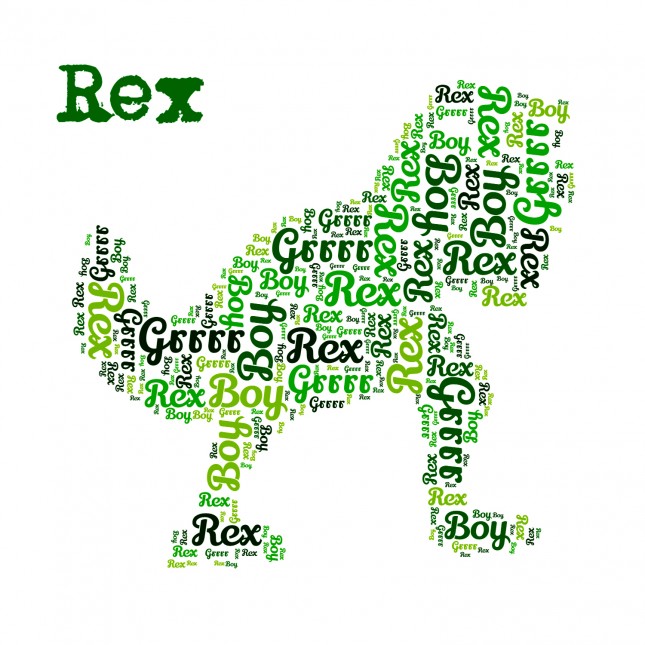 word art canvas prints